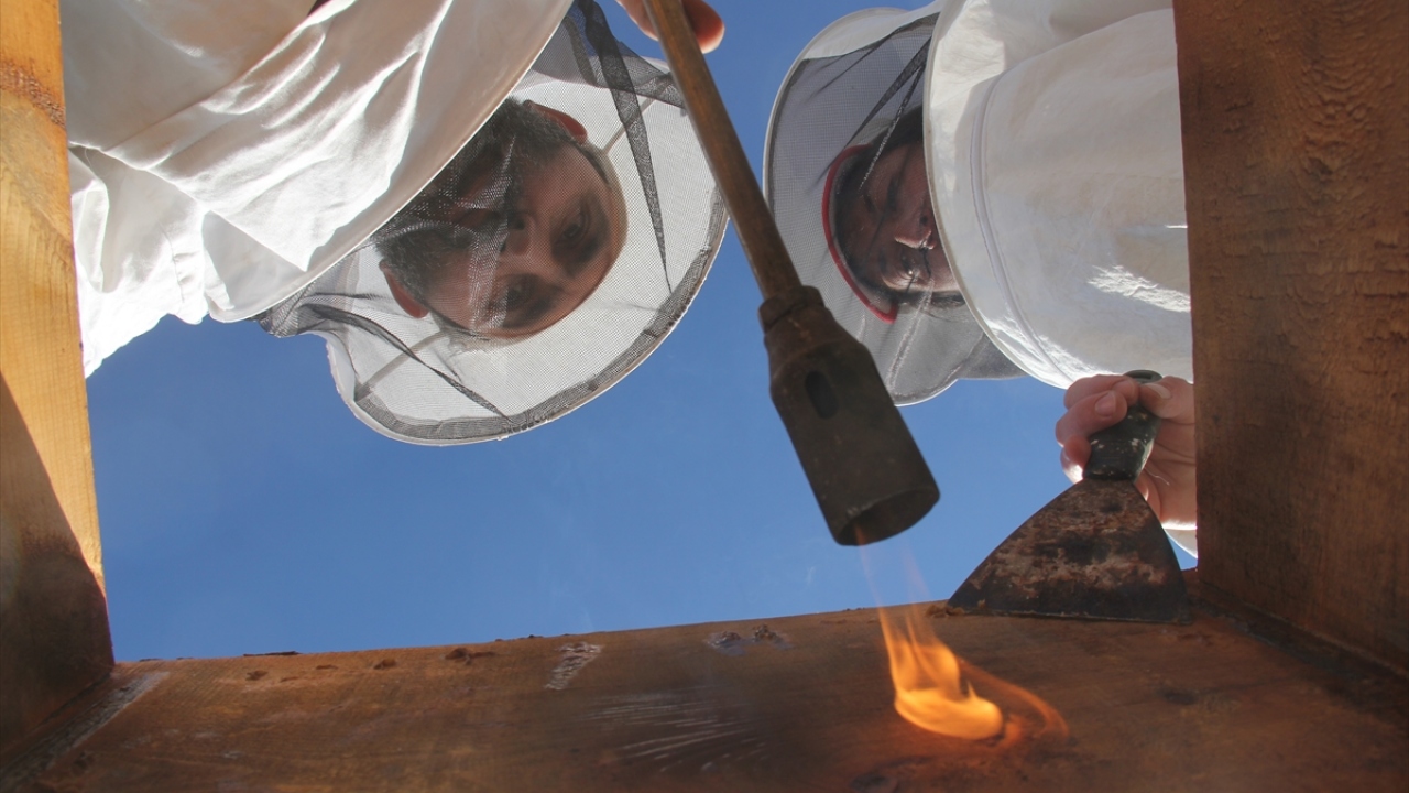 Arı yetiştiricisi Serhat Aybek ise yaylalardan getirdikleri arıları havaların soğumasıyla kışlattıklarını aktardı.