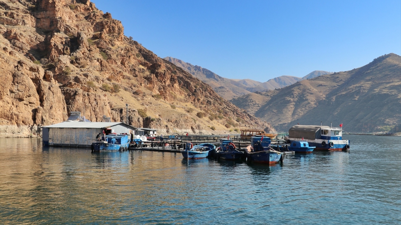 Keban ilçesindeki tesislerde bu yılın 11 ayında yaklaşık 18 bin ton alabalık, bin ton civarında ise somon üretildi. 