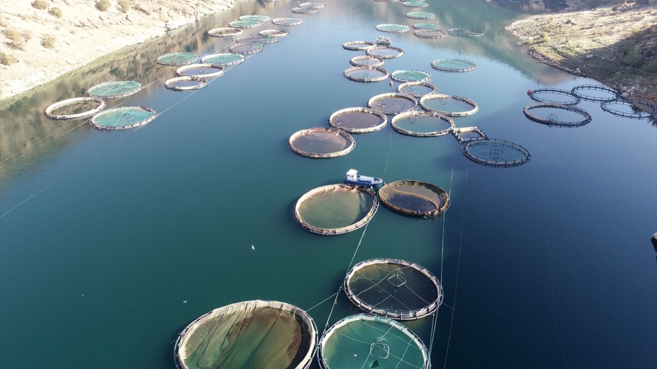 Tarım ve Orman İl Müdürü Turan Karahan, yaptığı açıklamada, Elazığ`da yeni yatırımlarla su ürünleri üretiminin her geçen yıl daha da arttığını söyledi.