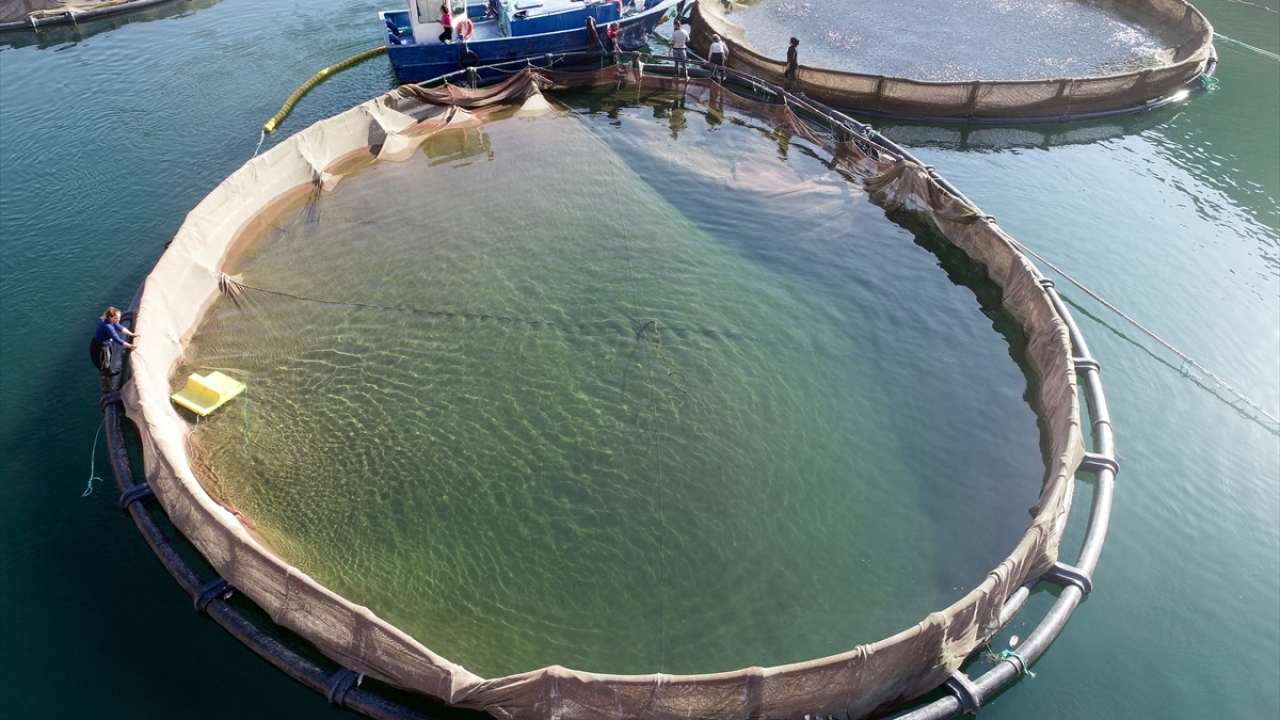 "68 bin hektar su yüzeyi alanına sahip"