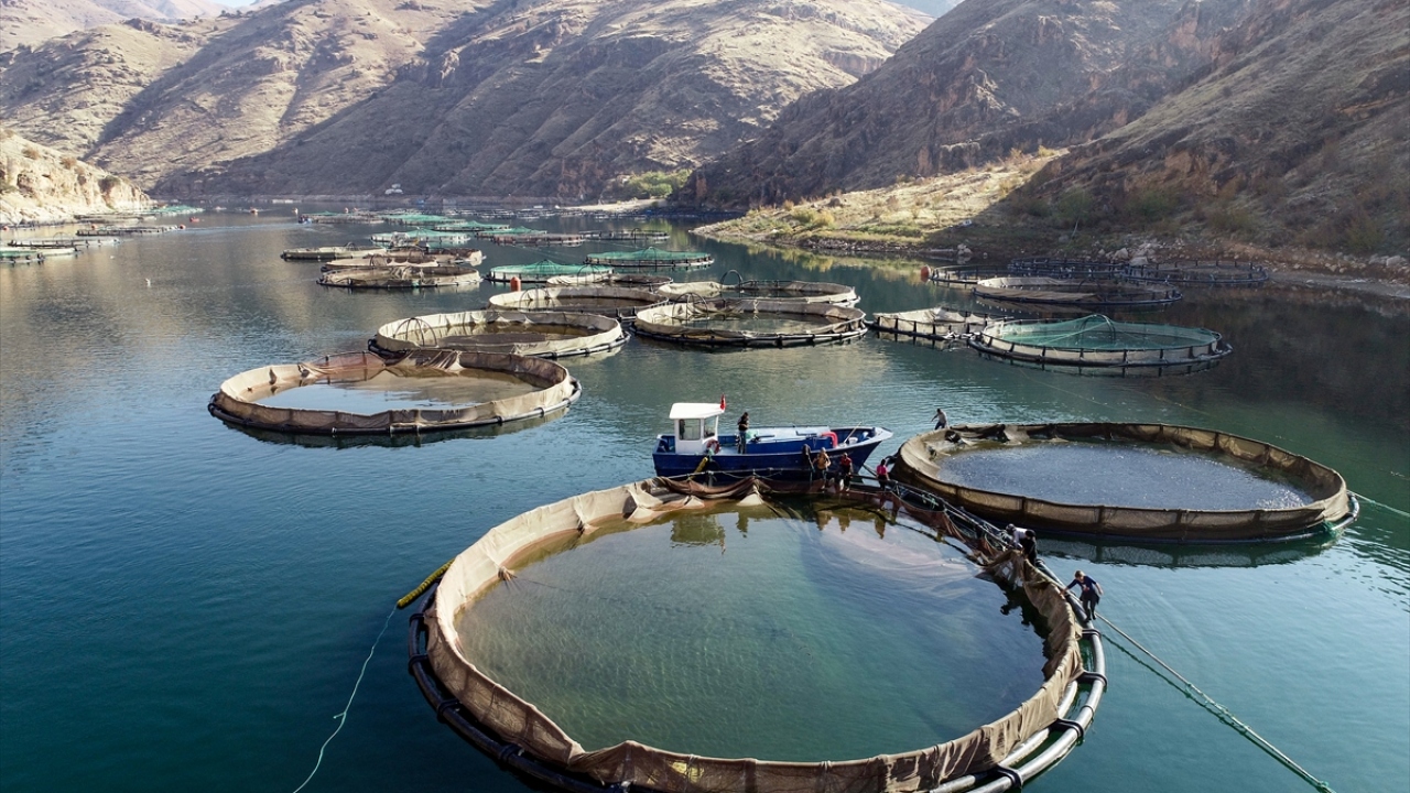 Lezzeti talebi artırıyor