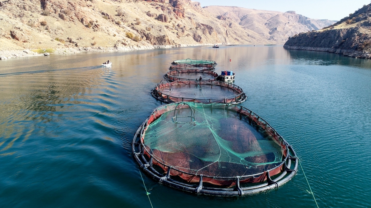 Karahan, Keban ve Karakaya baraj gölleri üzerinde yer alan su ürünleri üretim tesislerinin bin 500 kişiye direkt, dolaylı olarak da 3 bin kişiye istihdam sağladığını kaydetti.