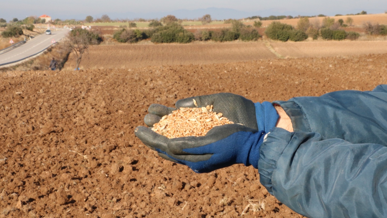 Çıplak köyünde köy muhtarlığı çiftçilere yerli ve milli tohum kullanmalarını teşvik etmek amacıyla, ‘Herşey bir tohumla başlar’ projesini başlattı.