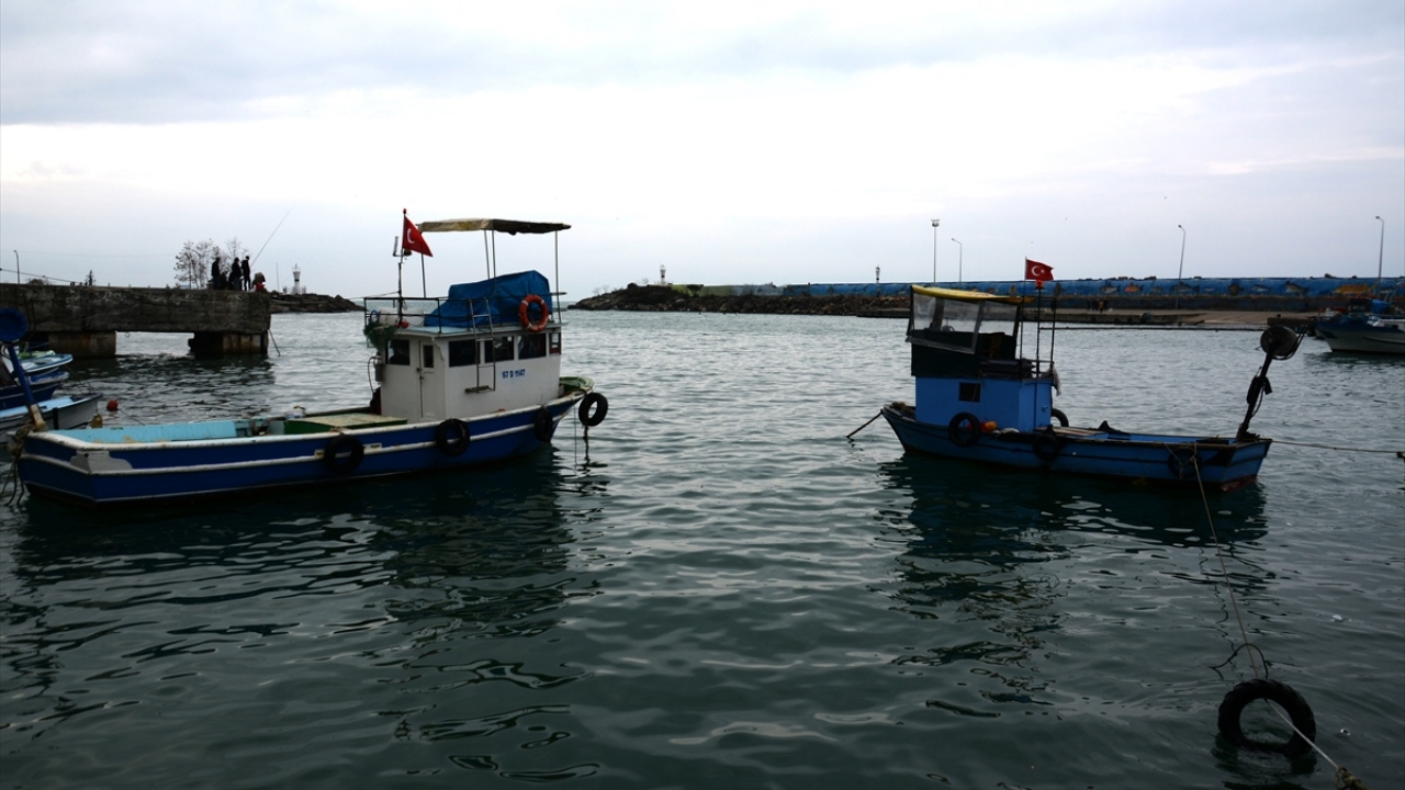 "Palamut artık olmayacak."