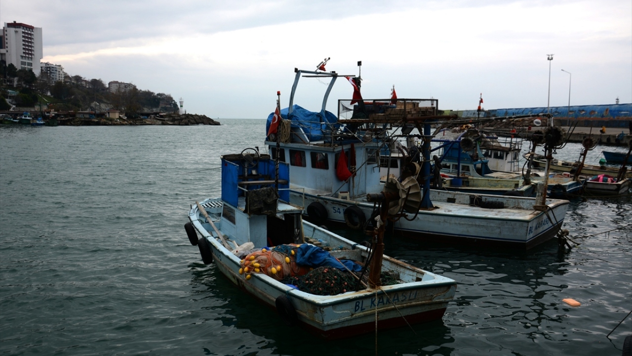 Karakaş, bu yıl genel olarak hamsi, istavrit, barbun ile sezonun geçirileceğini kaydetti.