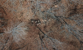 Muş'ta 5 teröristin etkisiz hale getirildiği operasyonun görüntüleri paylaşıldı