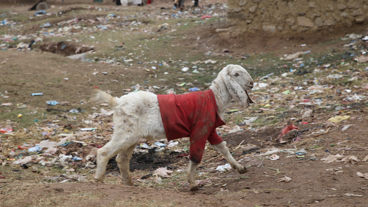 Sokakları özellikle çocuklar için sağlıksız hale getiren bu durum, yağışlar artınca yaşamı daha da güçleştiriyor.