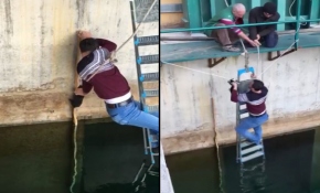 Cesur teknisyen yavru kediyi ölümden kurtardı