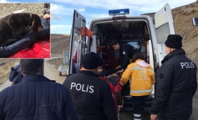 Hayatını kaybeden sahibinin başından bir an olsun ayrılmadı