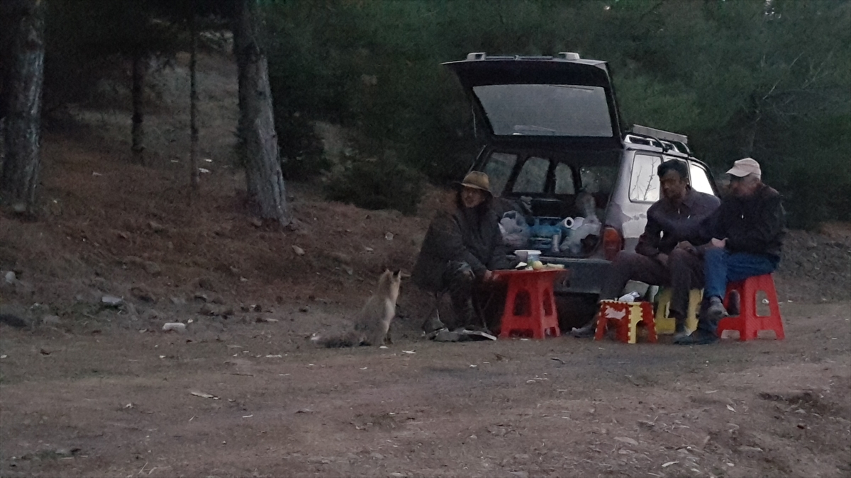 Tilkiyi müzik eşliğinde "Hoş geldin" diyerek karşılayan ve sohbet eden Balköse, karnını doyuran dostunu "Güle güle" diyerek uğurluyor.