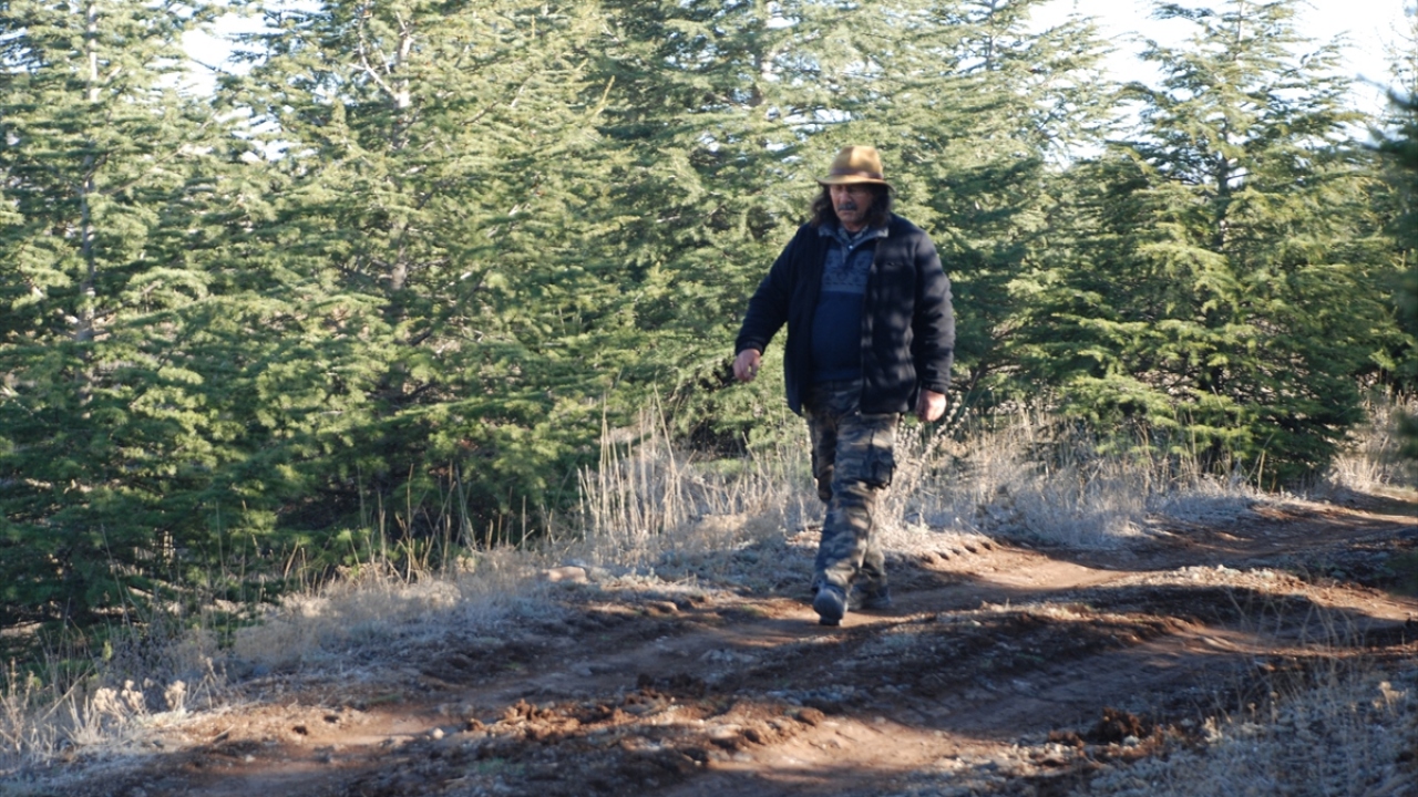 Balköse, doğadaki yalnızlığını tilkiyle giderdiğini dile getirdi.