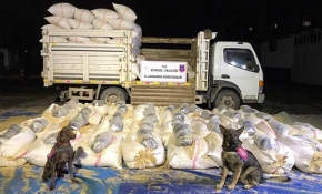 Bingöl'de saman yüklü kamyonda 300 kilo uyuşturucu ele geçirildi