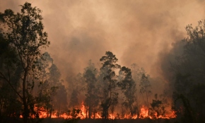 Avustralya'da yangınlar durdurulamıyor