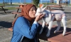Yavru keçisine bebek gibi bakıyor