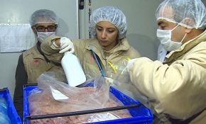 Güvensiz gıdaya geçit yok