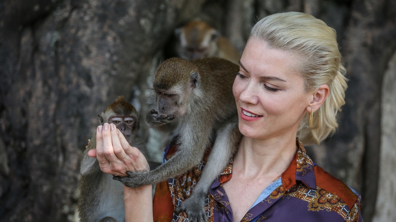 Bu tapınakta bulunan maymunlar ziyaretçiler tarafından yoğun ilgi görüyor.