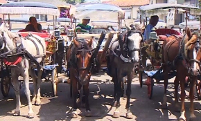 Meclis'te ruam hastalığı raporu