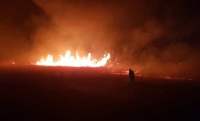 İznik Gölü kıyısındaki sazlık alanda yangın