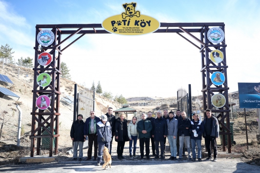 Hasta ve sahipsiz köpeklere kayadan oyma mağarada "yuva" konforu