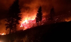 Trabzon'da 10 ilçede orman yangını