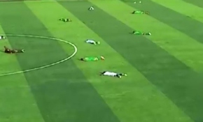 Arı sürüsü sahayı bastı