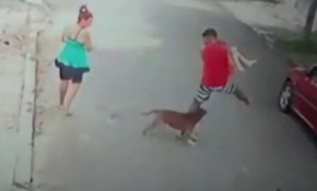 Pitbull saldırısına uğrayan çocuğu böyle kurtardı