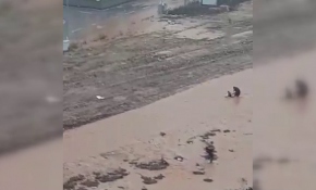 Adana'da sele kapılan çocuk son anda kurtarıldı