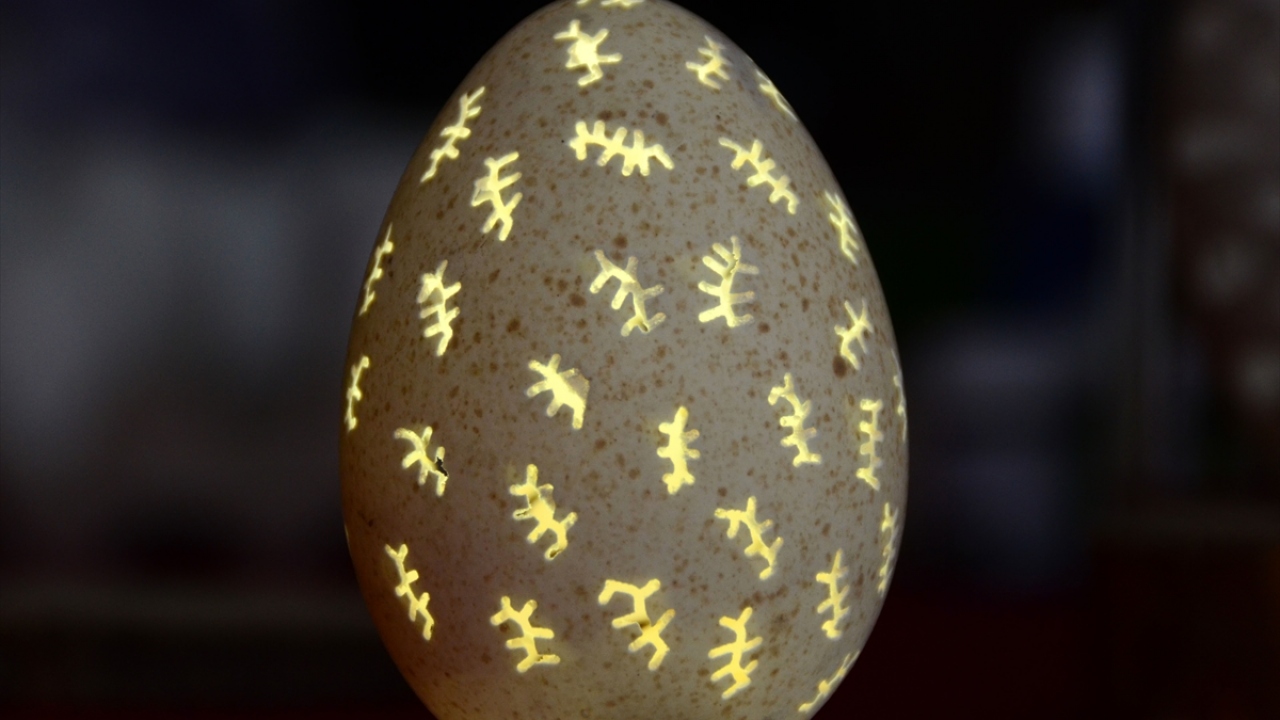 Hancı, gazetecilere yaptığı açıklamada, 3 ay önce merak ettiği bu sanatı gerçekleştirmek için araştırma yaptığını belirtti.