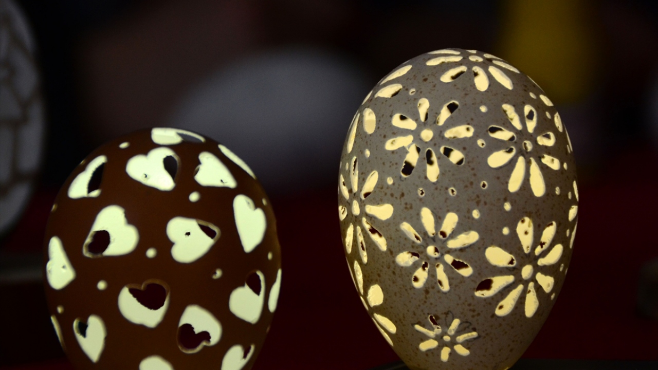 "Çöpe attığımız yumurta kabuklarından para kazanmaya başladım"