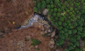 Şile'de gölete atılan lastikler doğaya zarar veriyor
