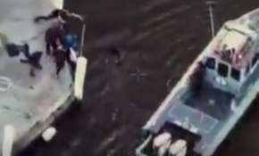 Buz gibi suya düşen köpeği kurtarma operasyonu