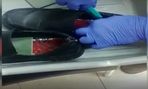 Ürdün’de ayakkabılara gizlenmiş 8 nadir kuş bulundu