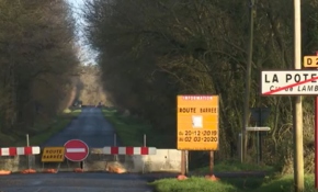 Fransa'da kurbağa göçü için bir karayolu 3 ay kapatıldı