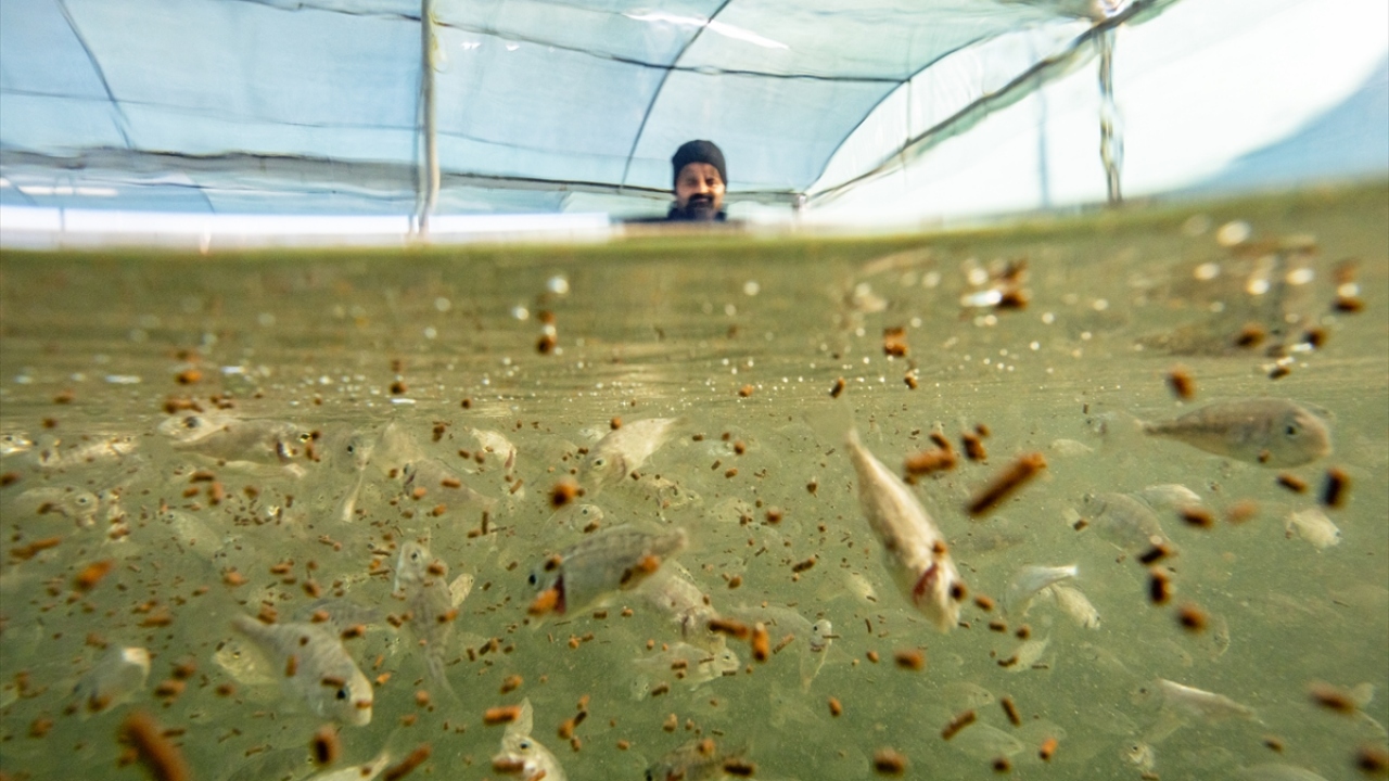 Su ürünleri ihracatı Ocak-Kasım 2019`da önceki yılın aynı dönemine göre yüzde 5 artarak 875 milyon dolardan 918 milyon dolara yükseldi.