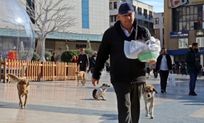 Emekli maaşının yarısını sokak hayvanlarına harcıyor