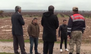 Hatay'da 2 hafta önce öldürülen köpekle ilgili soruşturma başlatıldı