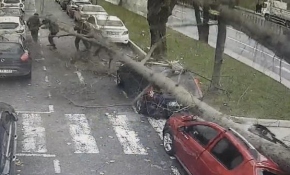 Şişli'de ağaç yoldaki insanların üzerine devrildi