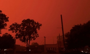 Avustralya'da orman yangınları durdurulamıyor