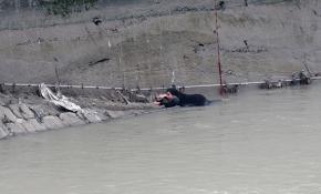 Hatay'da nehre düşen kadın halatla kurtarıldı