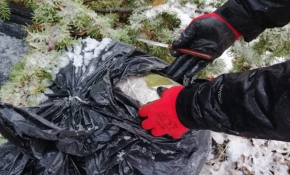 Diyarbakır'da 515 kilogram esrar ele geçirildi