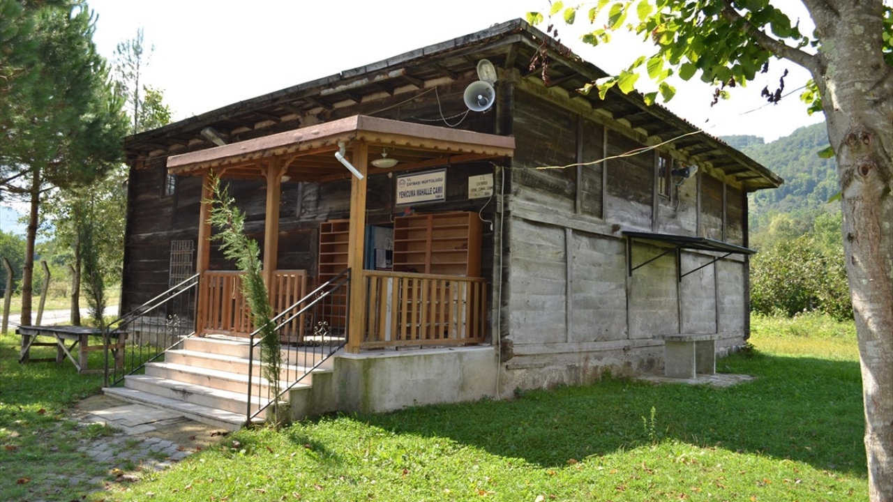 Ordu Üniversitesi Sanat Tarihi Bölümü Başkanı Prof. Dr. Ahmet Ali Bayhan ile yürütülen ortak çalışmayla tespit edilerek "Geçmişten Günümüze Ordu`nun Geleneksel Ahşap Camileri" adıyla kitap basımı yapılan 49 çivisiz cami restore edilecek.