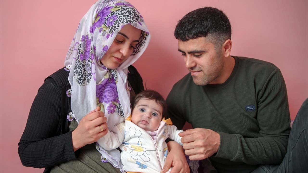 Mahkemenin davayı reddetmesi üzerine konu istinafa taşındı. 