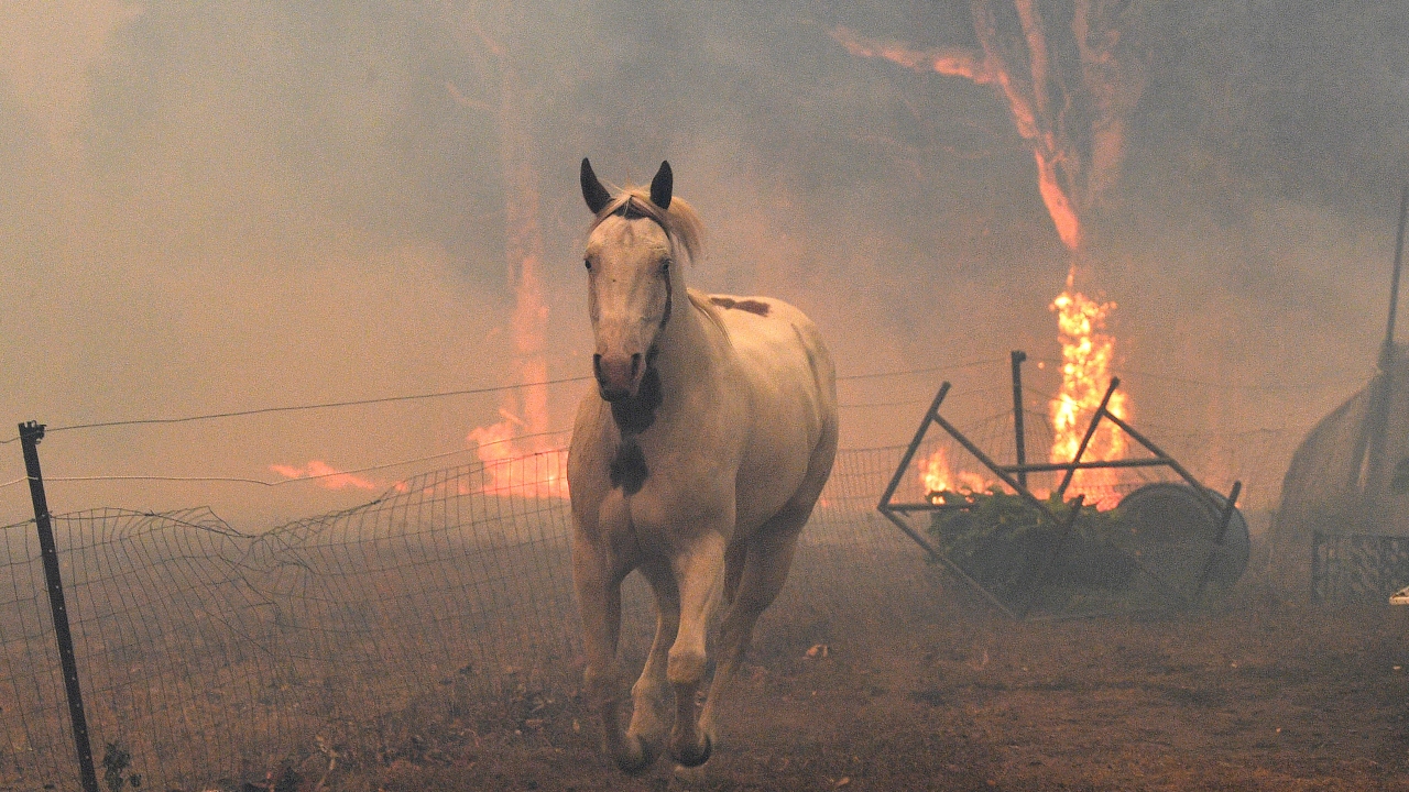 Artan rüzgar hızının yangınları daha da alevlendirdiği güneydoğu Avustralya`nın bazı kesimlerinde dün hava sıcaklığı 40 dereceyi aşarken, Sydney kentinin batısındaki Penrith bölgesinde de 48,9 dereceye kadar ulaştı.