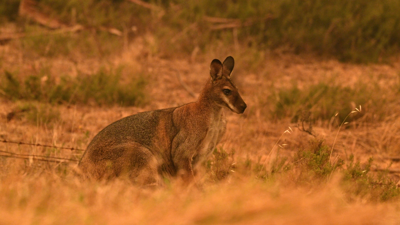 Binlerce kişi, bulundukları yerleri terk etmeye başlamıştı