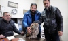 Bingöl'de köylünün bulduğu yaralı boynuzlu baykuş tedaviye alındı