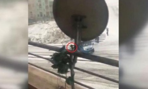 Karda kayan minibüsten atlayan yolcu yaralandı