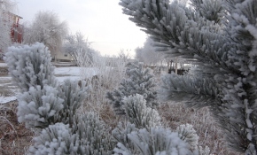 Ardahan'da donan kırağı görsel şölen oluşturdu