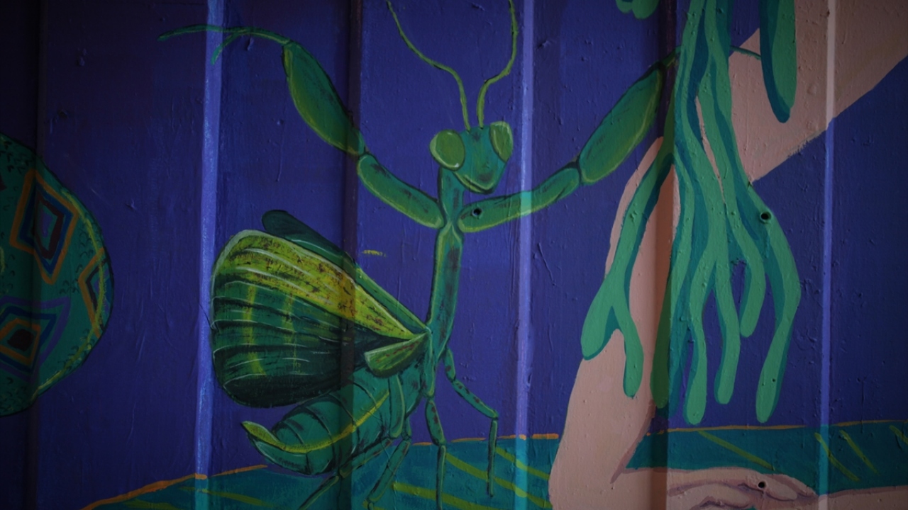 Fotoğrafta bir peygamber devesi resmi de görülüyor.