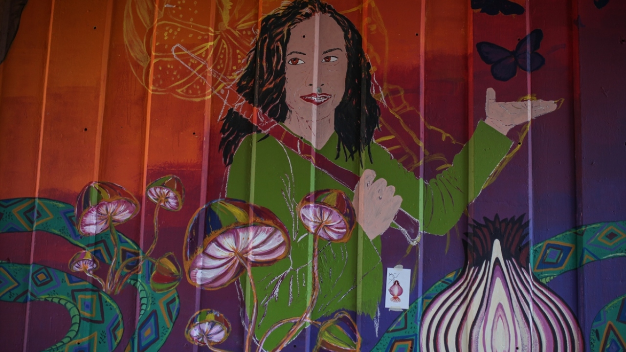 Fotoğrafta aktivist kadın Laura Wenstein`i tasvir eden bir duvar resmi de görülüyor.