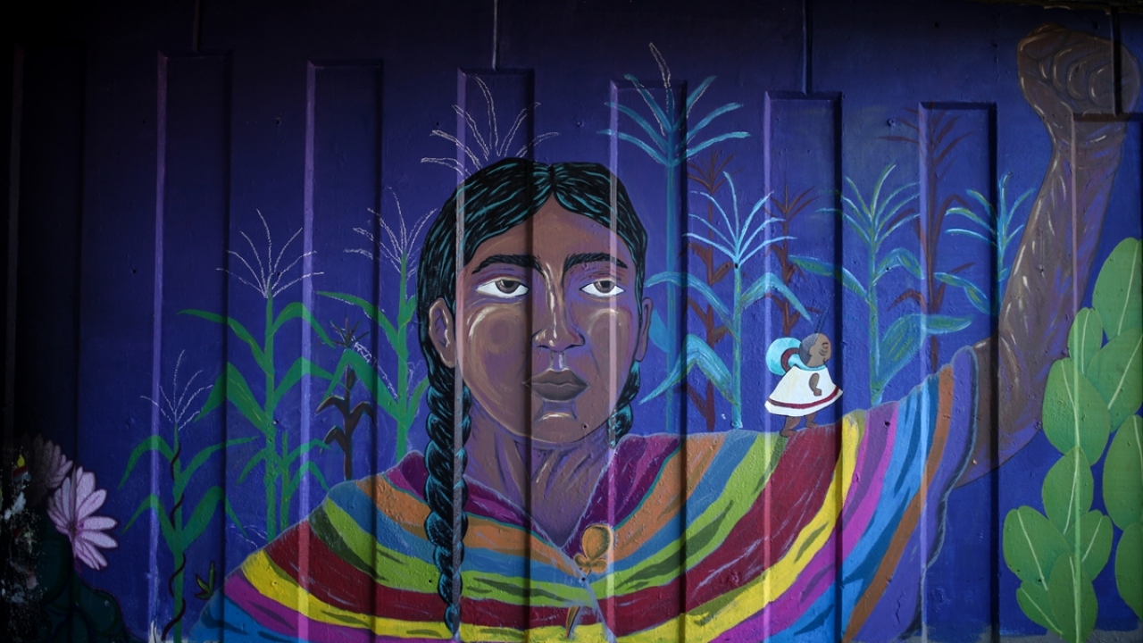 Fotoğrafta Aymara yerlilerinden olan bir kadın, Bartolina Sisa`yı tasvir eden bir duvar resmi de görülüyor.